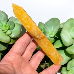 Golden healer trn 158mm