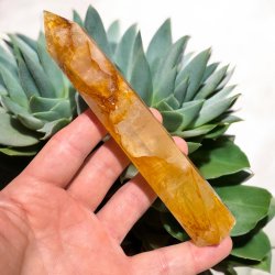 Golden healer t�rn 157mm