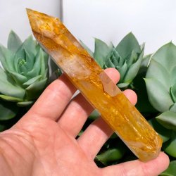 Golden healer t�rn 157mm