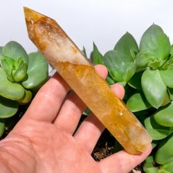 Golden healer t�rn 157mm