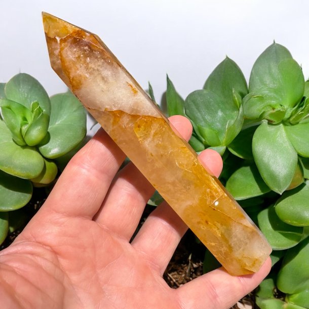 Golden healer t�rn 157mm