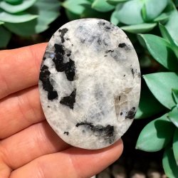 Regnbue mnesten jumbo