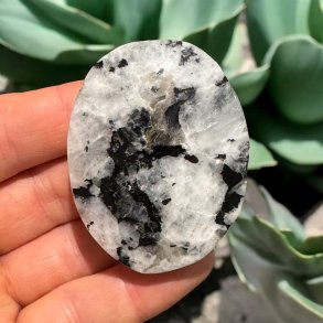 Regnbue mnesten jumbo