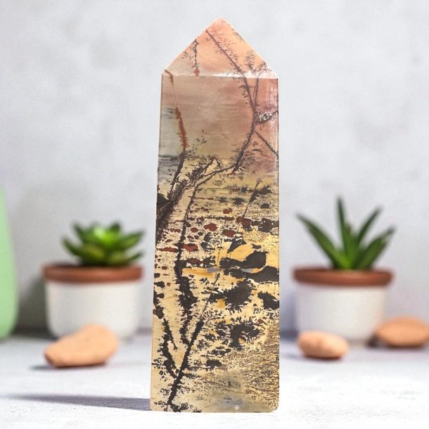 Billede jaspis trn 119mm