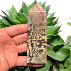 Billede jaspis trn 119mm