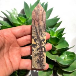 Billede jaspis trn 119mm