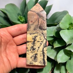 Billede jaspis trn 119mm