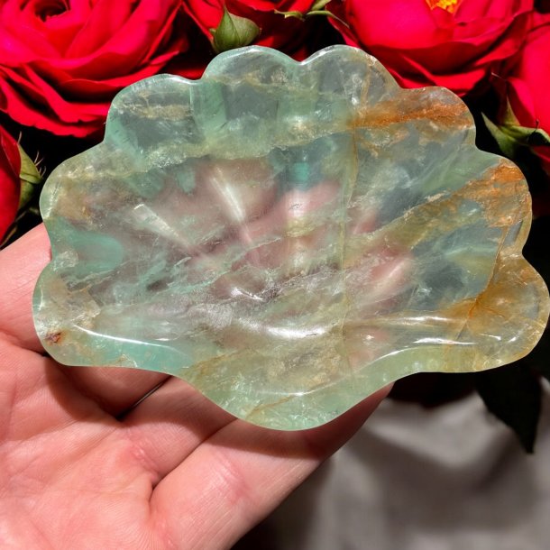 Fluorit skl m. golden healer musling