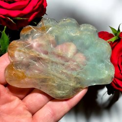 Fluorit skl m. golden healer musling