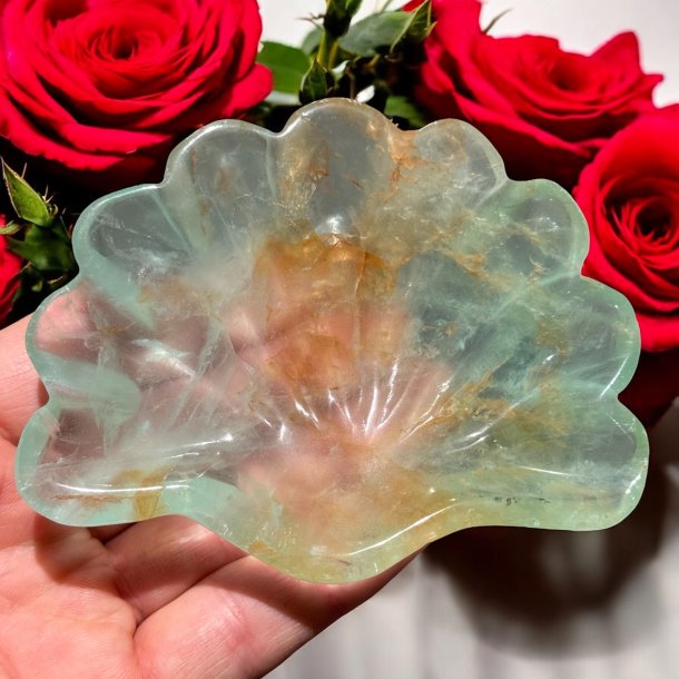 Fluorit skl m. golden healer musling