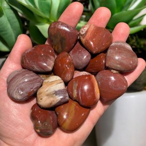 forstenet tr hjerter