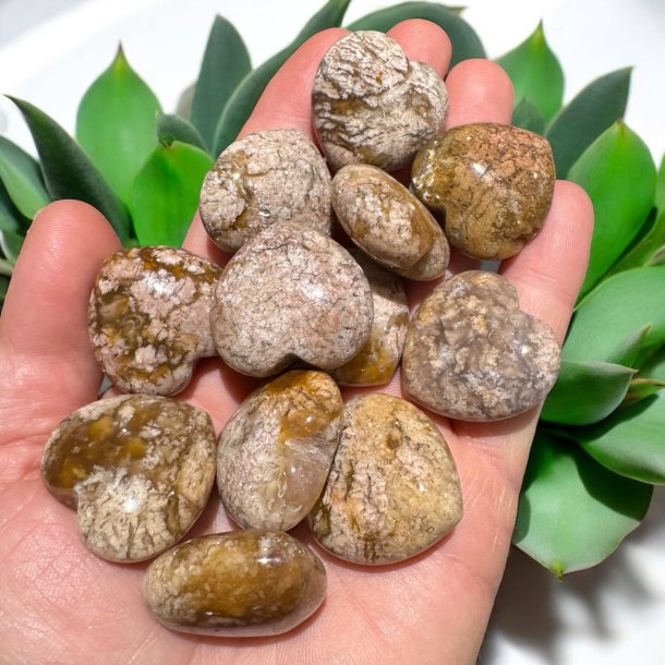 Ibis jaspis hjerter 30mm