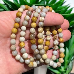 Koral forstenet petoskey armbnd 6mm