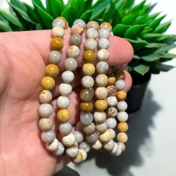 Koral forstenet petoskey armbnd 6mm