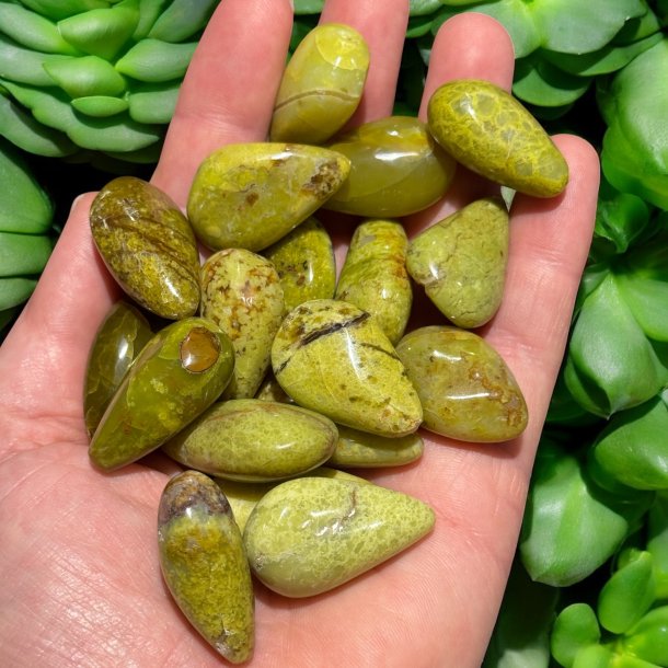 Grn Opal drbe lommesten