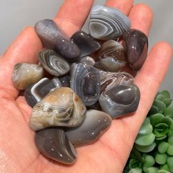 Gr Botswana agat lommesten