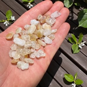 Brndt citrin chips 50gr