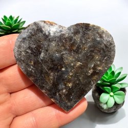 Phlogopit Hjerte