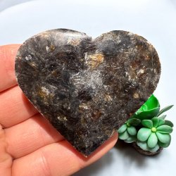 Phlogopit Hjerte