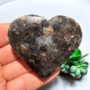 Phlogopit Hjerte