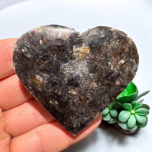 Phlogopit Hjerte