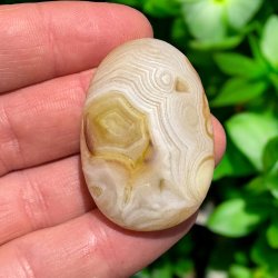 Gobi rken agat jumbo