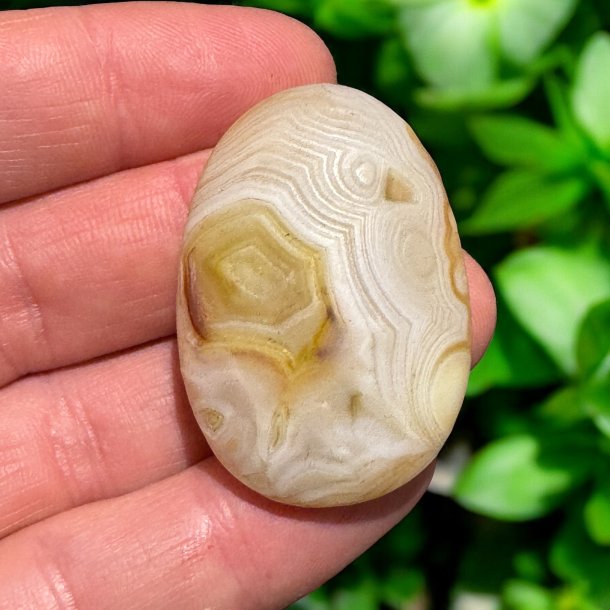 Gobi rken agat jumbo