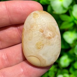 Gobi rken agat jumbo