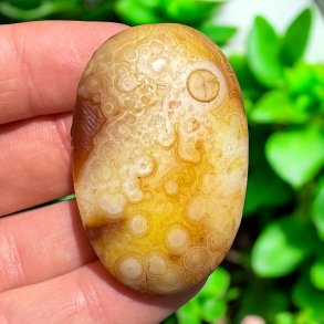 Gobi �rken agat jumbo