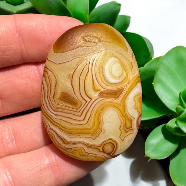 Gobi �rken agat jumbo