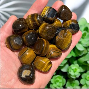 Tiger�je lommesten