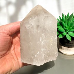 Bjergkrystal t�rn 113mm