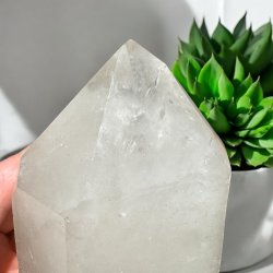 Bjergkrystal t�rn 113mm