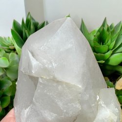 Bjergkrystal t�rn 136mm