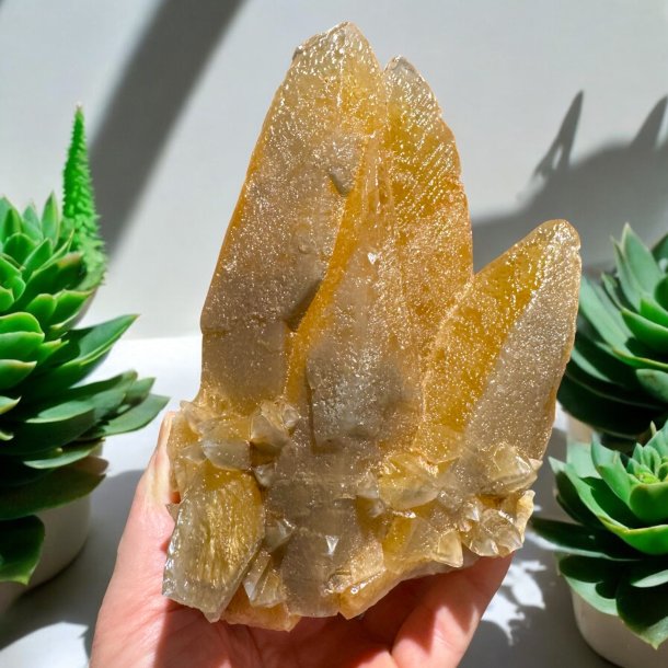 Hundetands calcit klynge