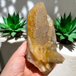 Hundetands calcit klynge