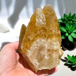 Hundetands calcit klynge