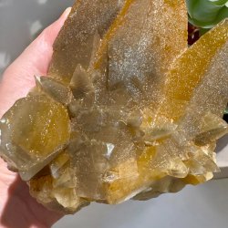 Hundetands calcit klynge