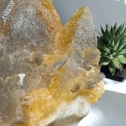 Hundetands calcit klynge