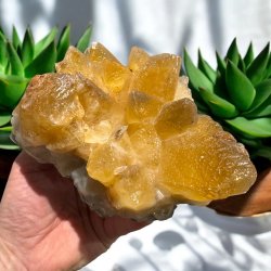 Hundetands calcit klynge