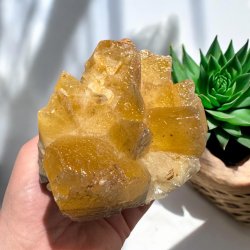 Hundetands calcit klynge