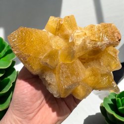 Hundetands calcit klynge