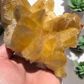 Hundetands calcit klynge