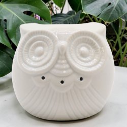 Klassisk hvid oliebr�nder � lav ugle