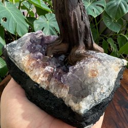 Bonsai tr� af ametyst og sort turmalin