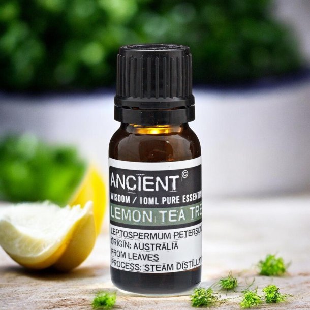 Ancient Wisdom �terisk Lemon tea tree olie