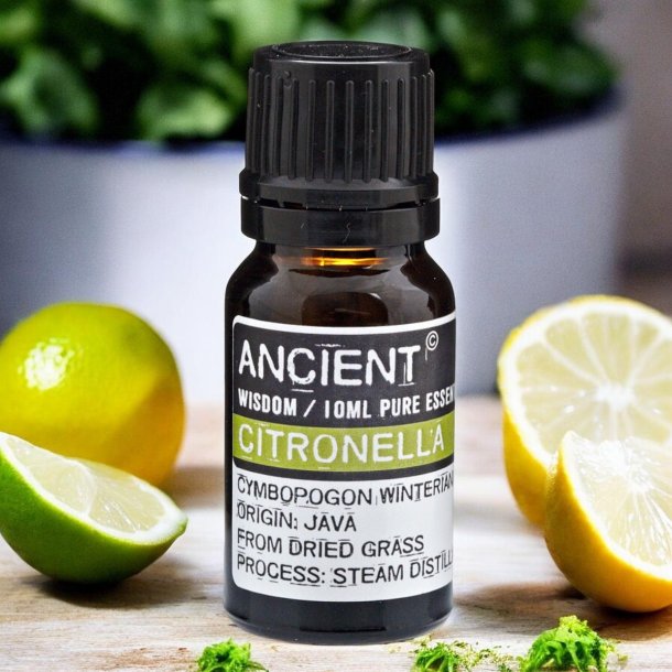 Ancient Wisdom �terisk citronella olie