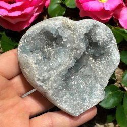 Celestit klynge hjerte