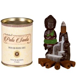 Palo Santo backflow cones 24stk