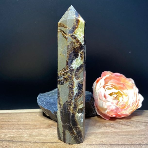 Septarie trn 130mm